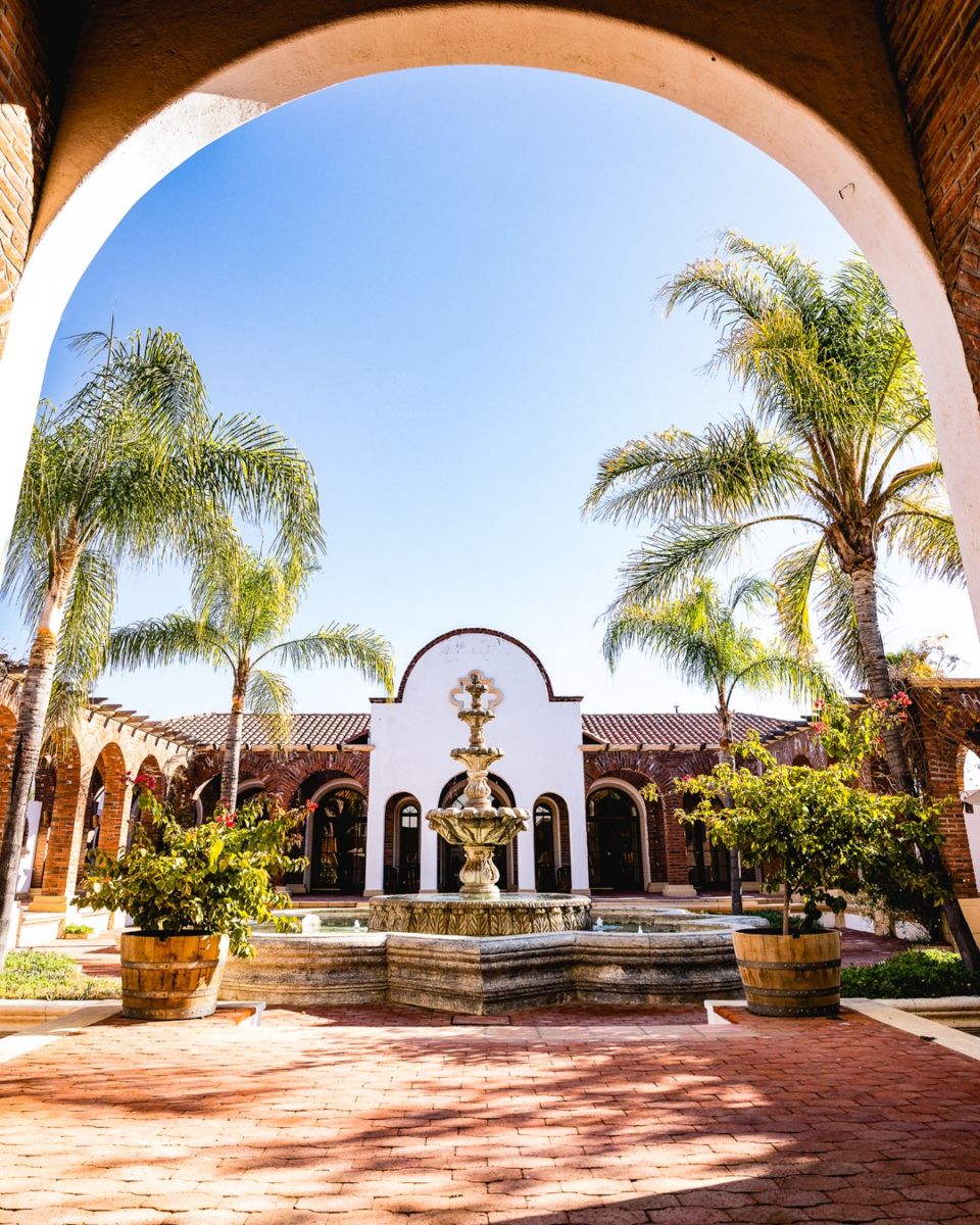 viñedos en mexico