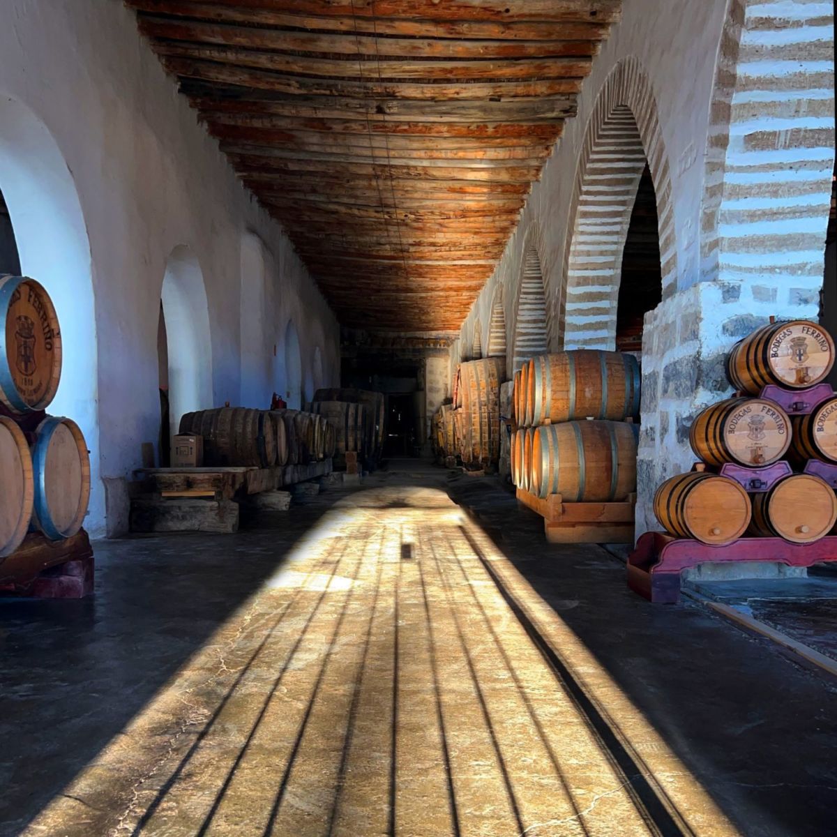 viñedos en mexico