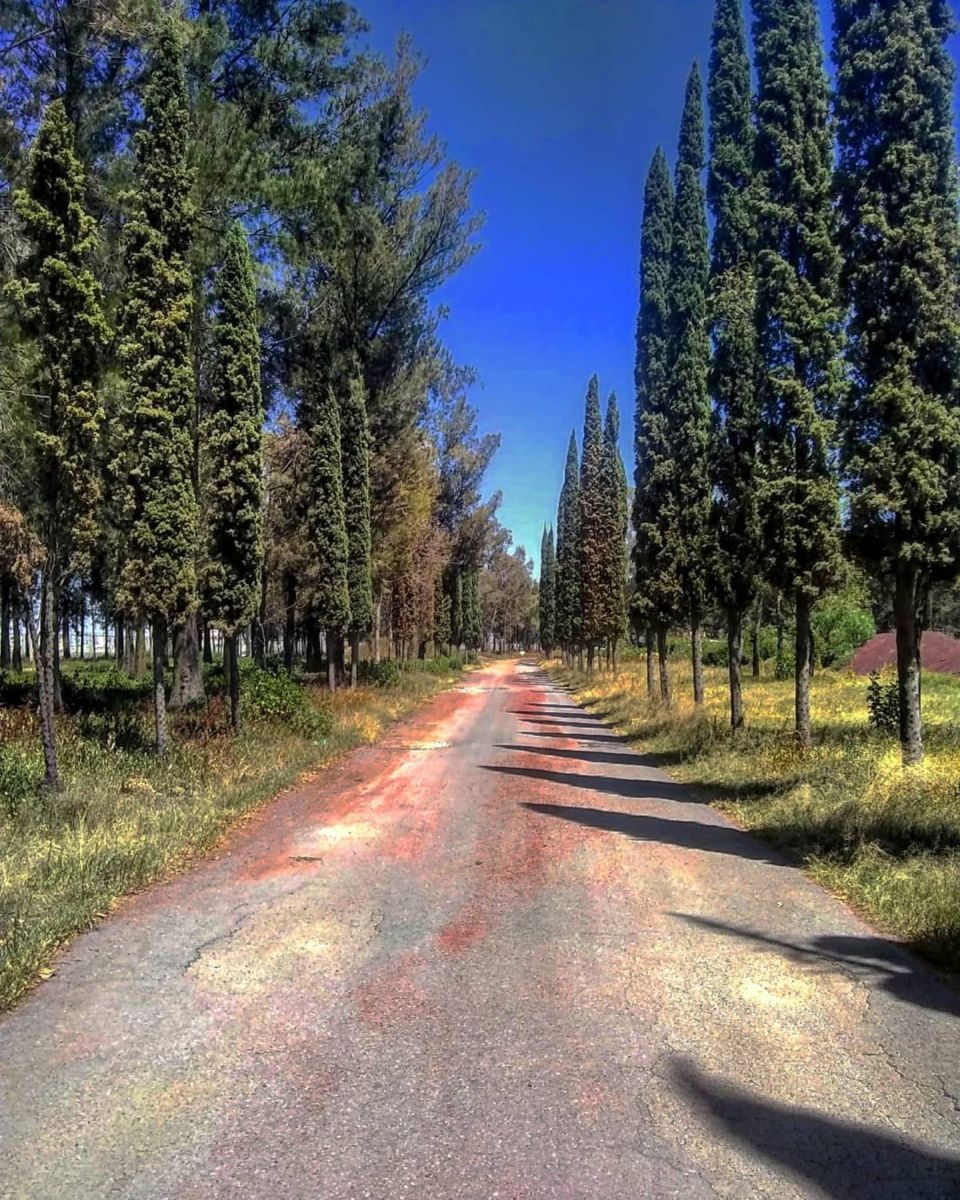 Nadie lo sabe, pero atrás del aeropuerto de la CDMX está este parque ecológico con un lago artificial