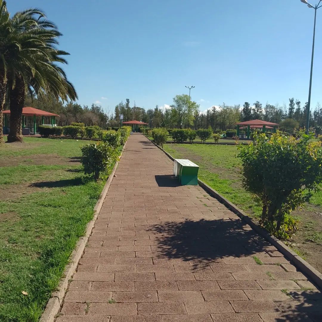 aeropuerto de la CDMX