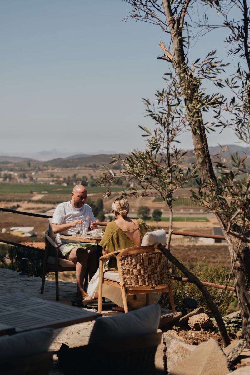 banyan tree valle de guadalupe
