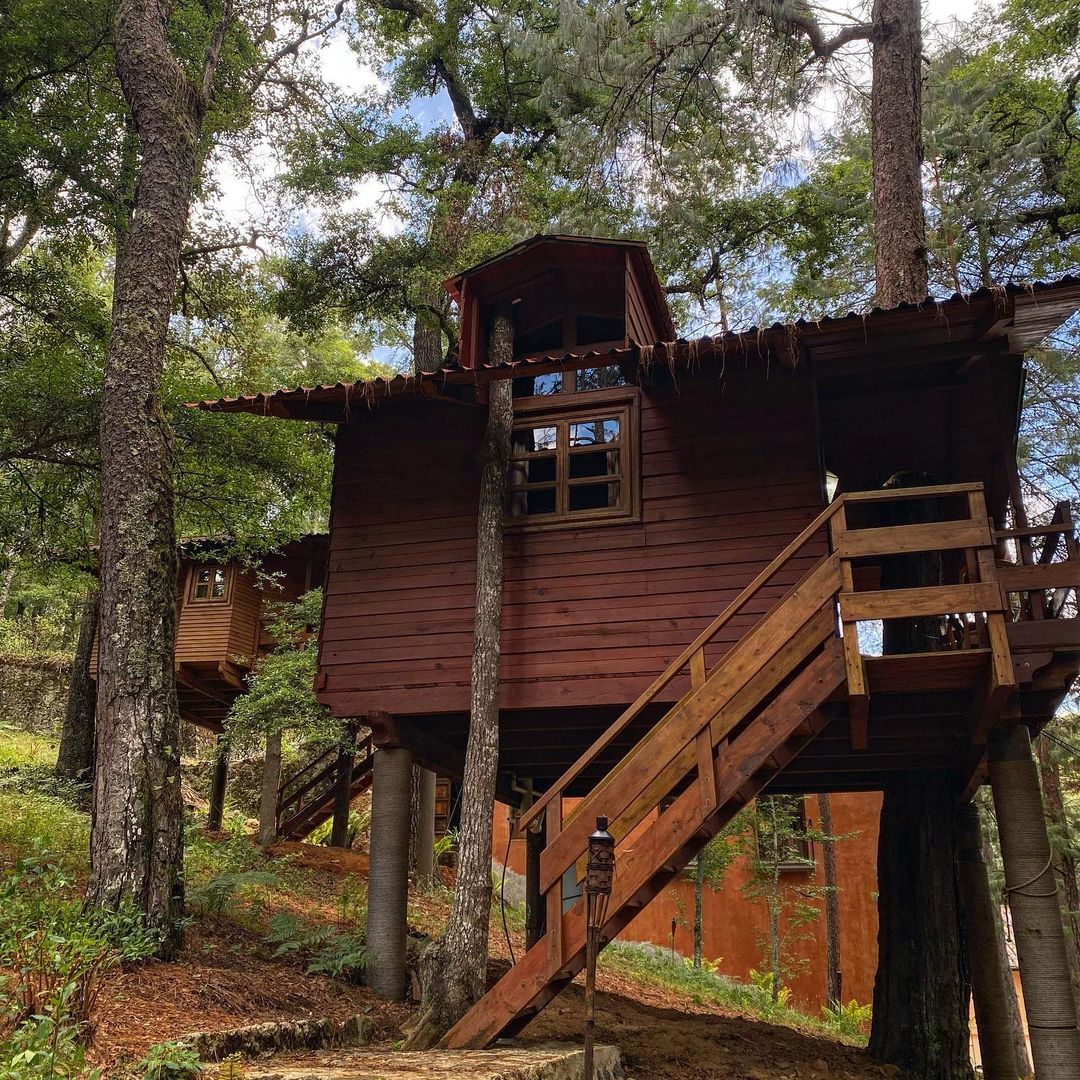 alojamiento en medio de la naturaleza 