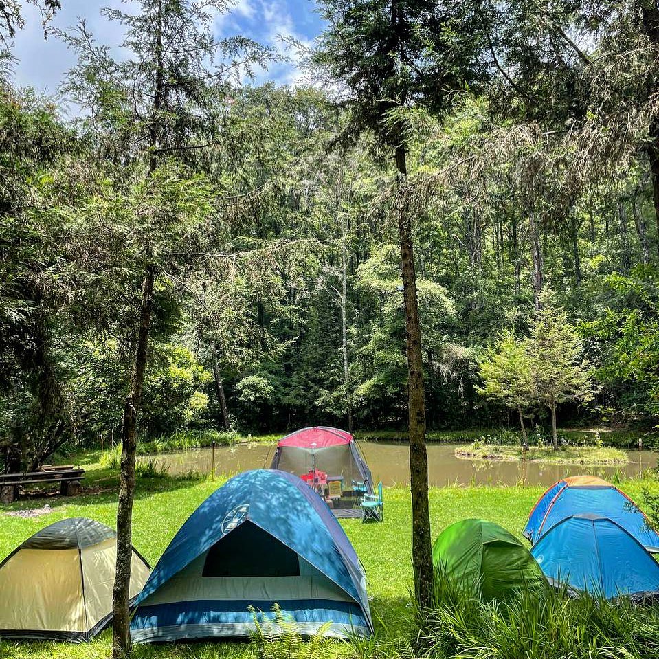 Agua Morada, Hidalgo