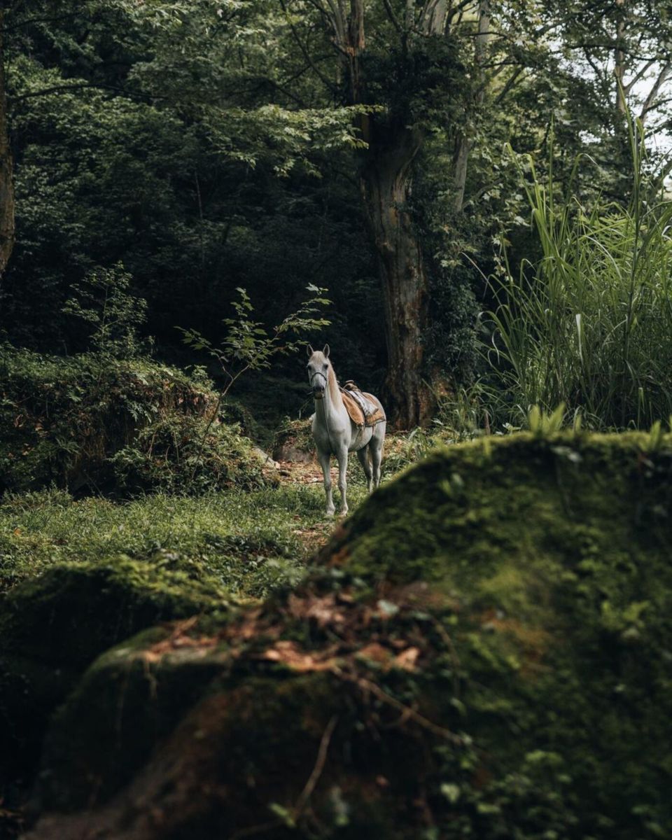 naturaleza en México