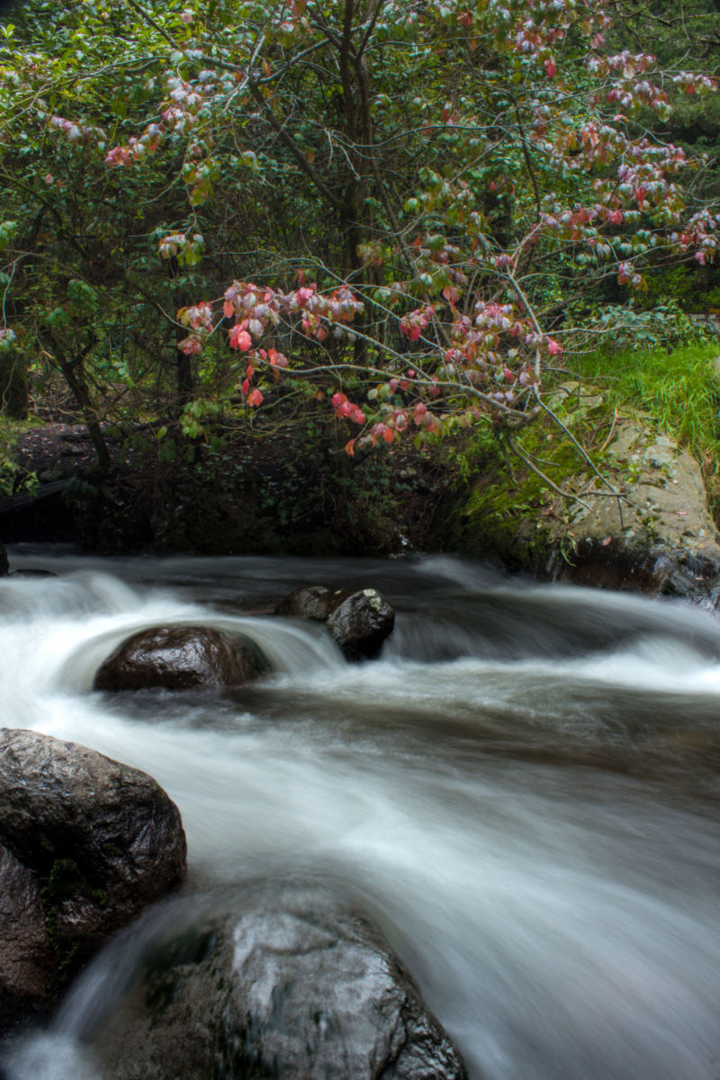 Cascada en Los Dinamos 