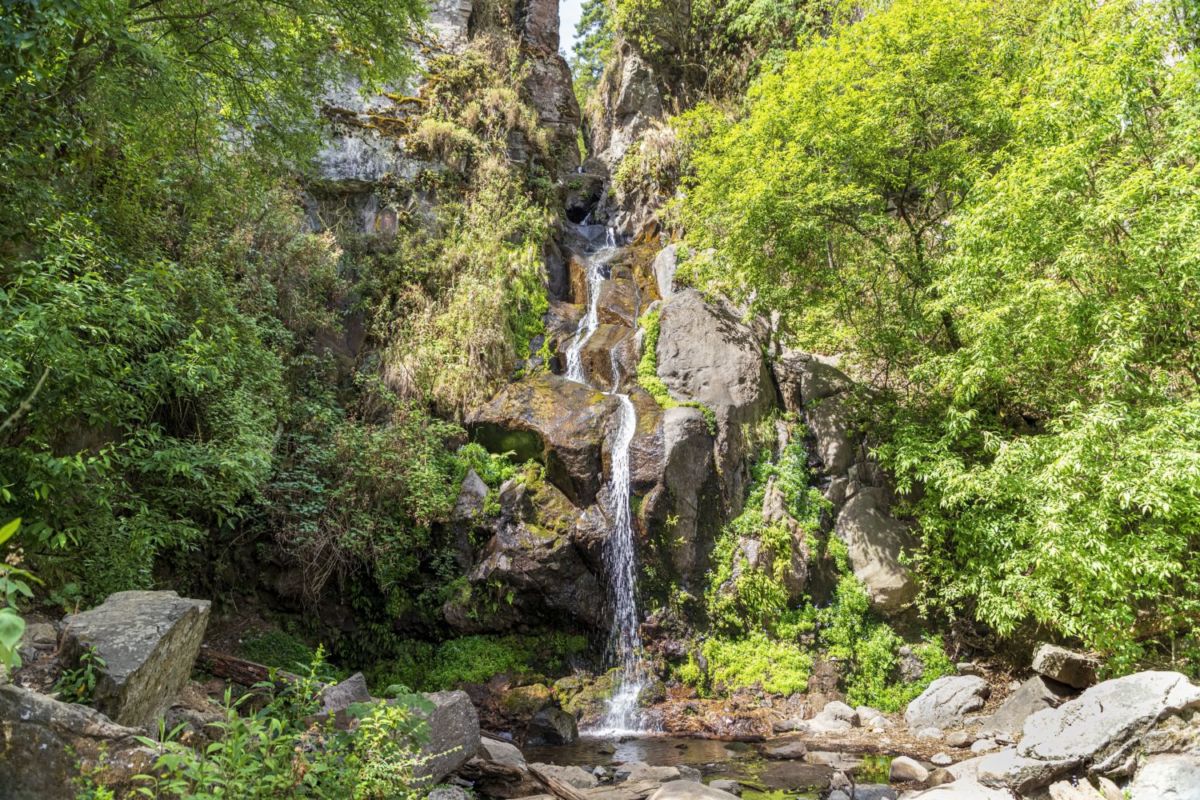 La cascada más cerca de la CDMX es uno de los paisajes más bonitos para visitar en época de lluvias 