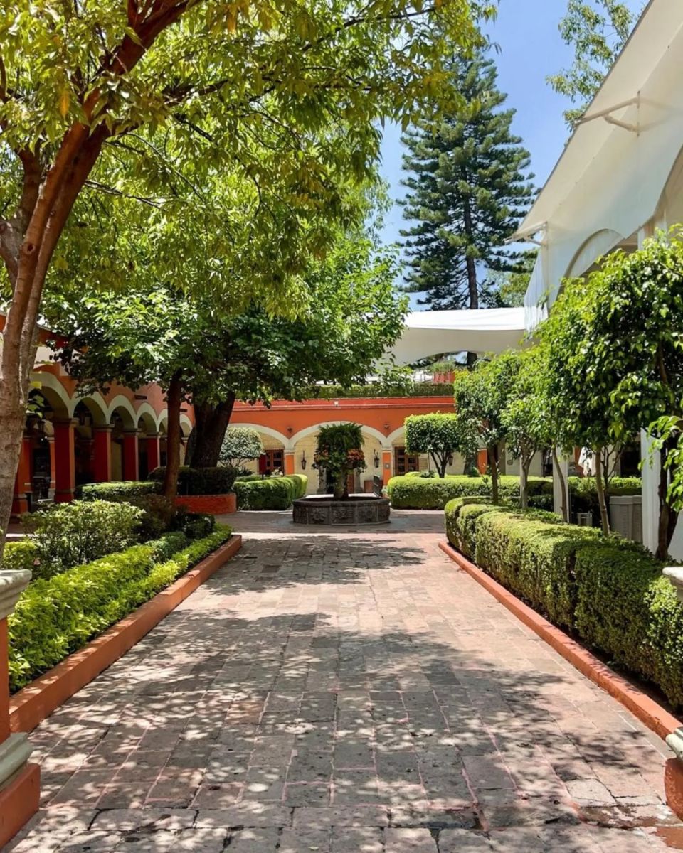 día de los abuelos