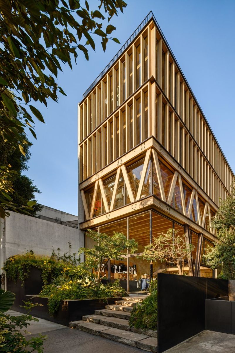 Conoce el Jardín Anatole, el primer edificio de madera en la CDMX