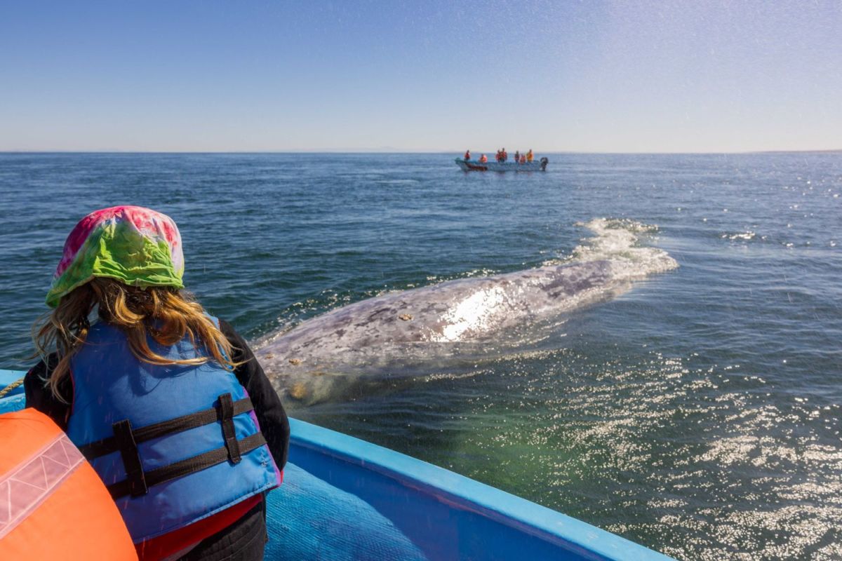Guerrero Negro en Baja California Sur