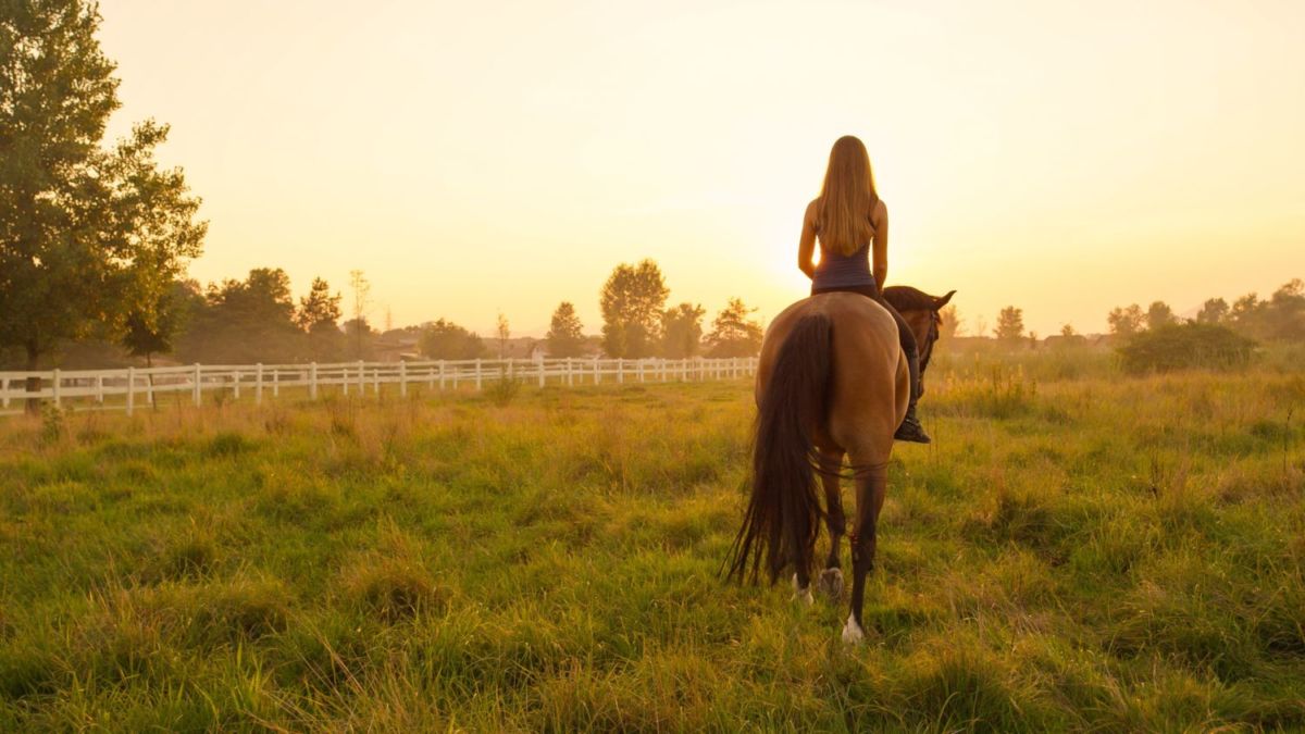 Cabalgatas al atardecer y terrazas con jacuzzi en este hotel cerca de la CDMX 