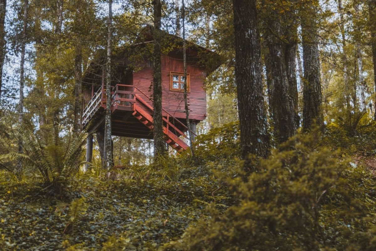 Cabañas de árbol