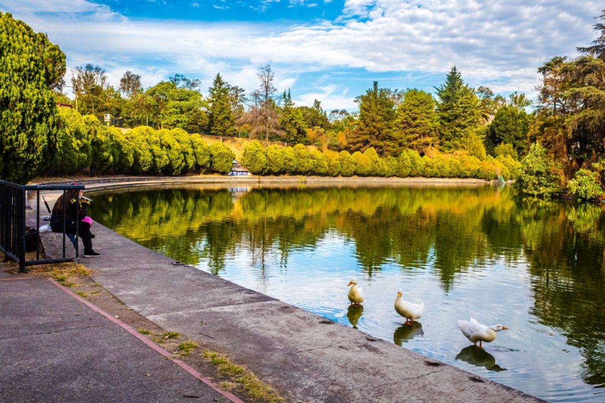 Los 5 lagos más bonitos de la CDMX