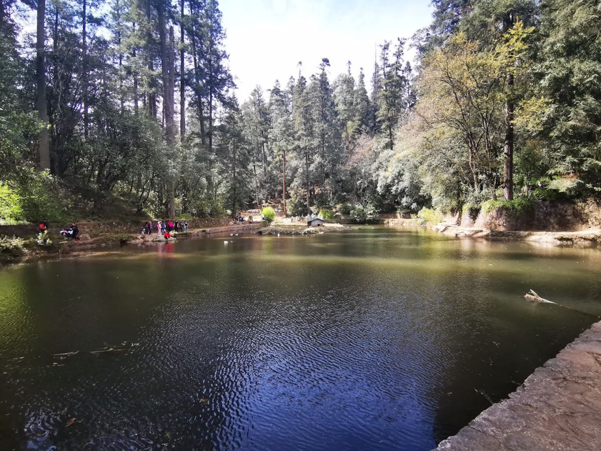 Lago de los Patos en Desierto de los Leones 