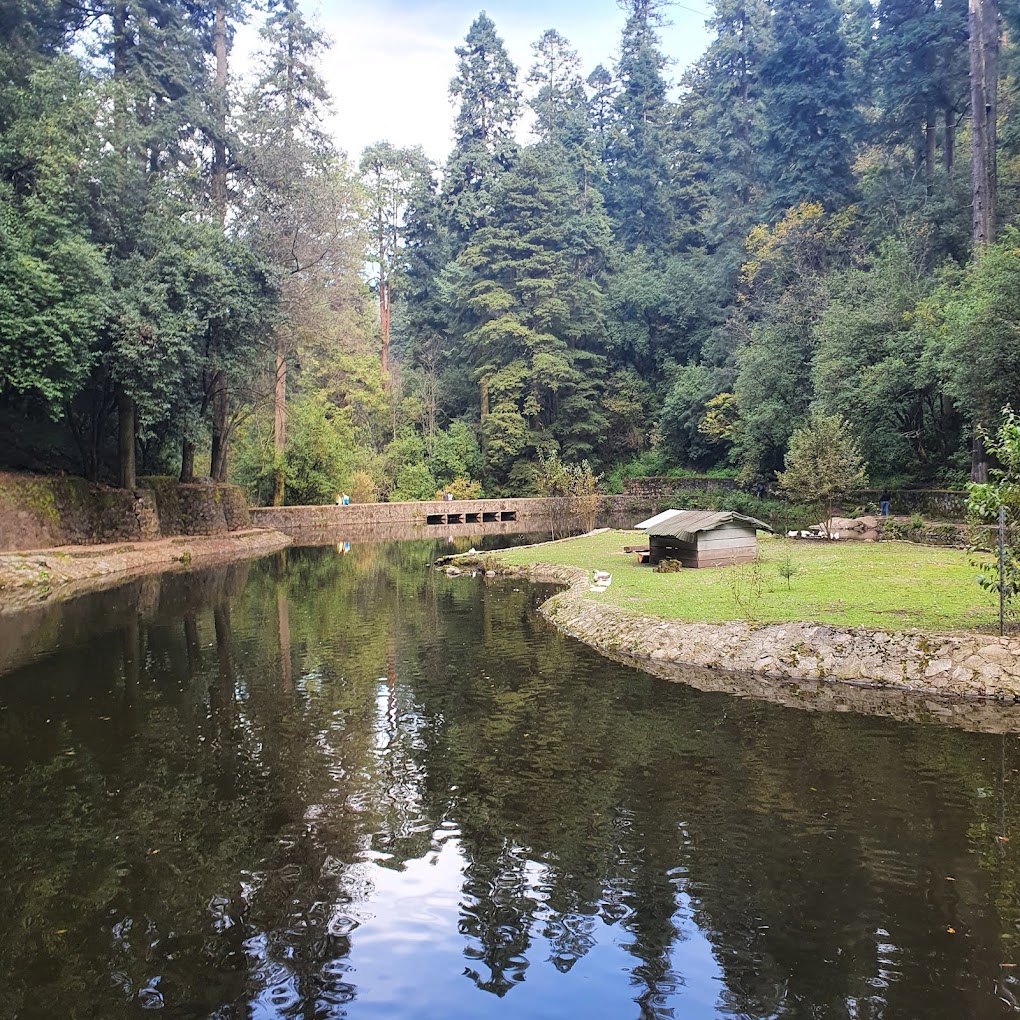  Lago de los Gansos México 