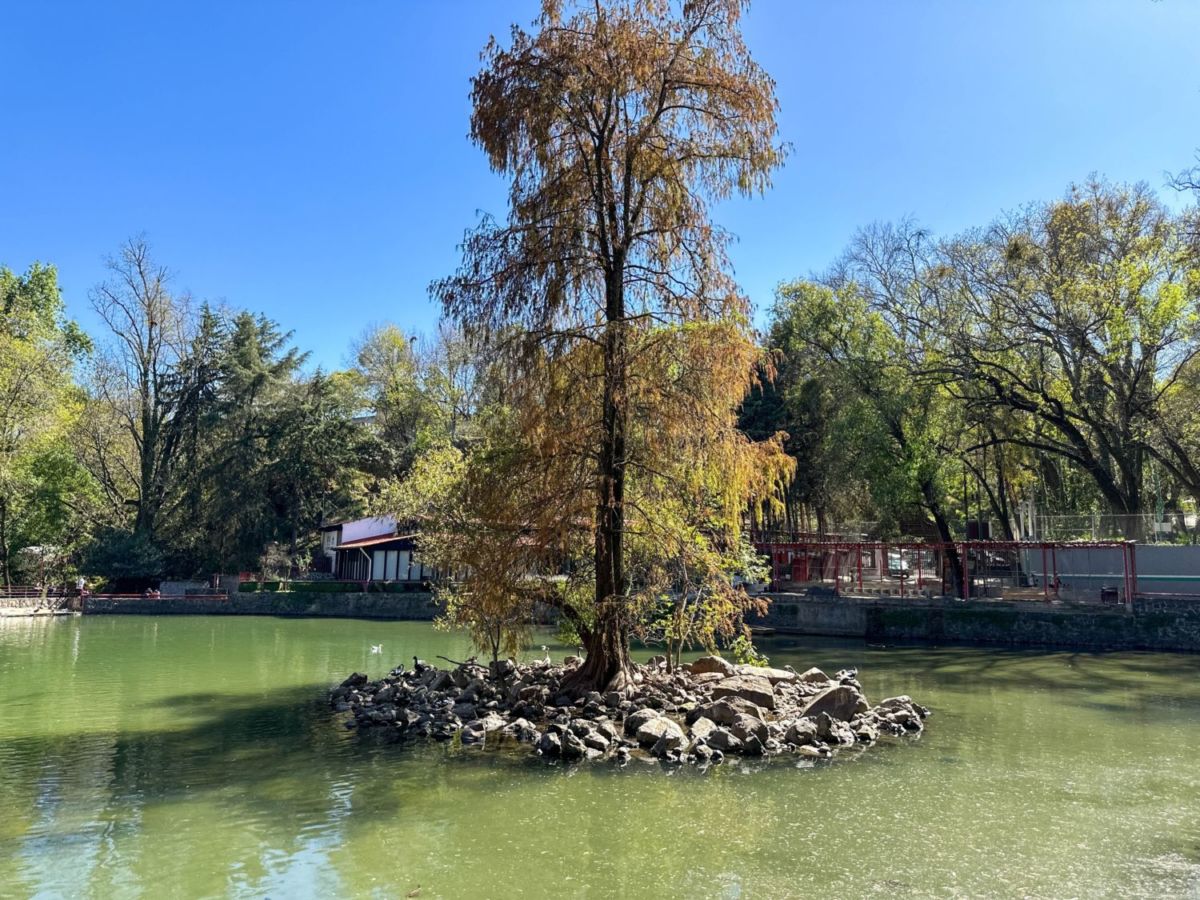 Parque Nacional Fuentes Brotantes de Tlalpan 
