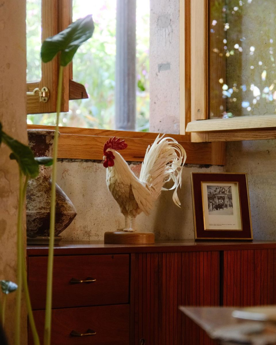 5 marcas mexicanas de diseño de interiores lideradas por mujeres