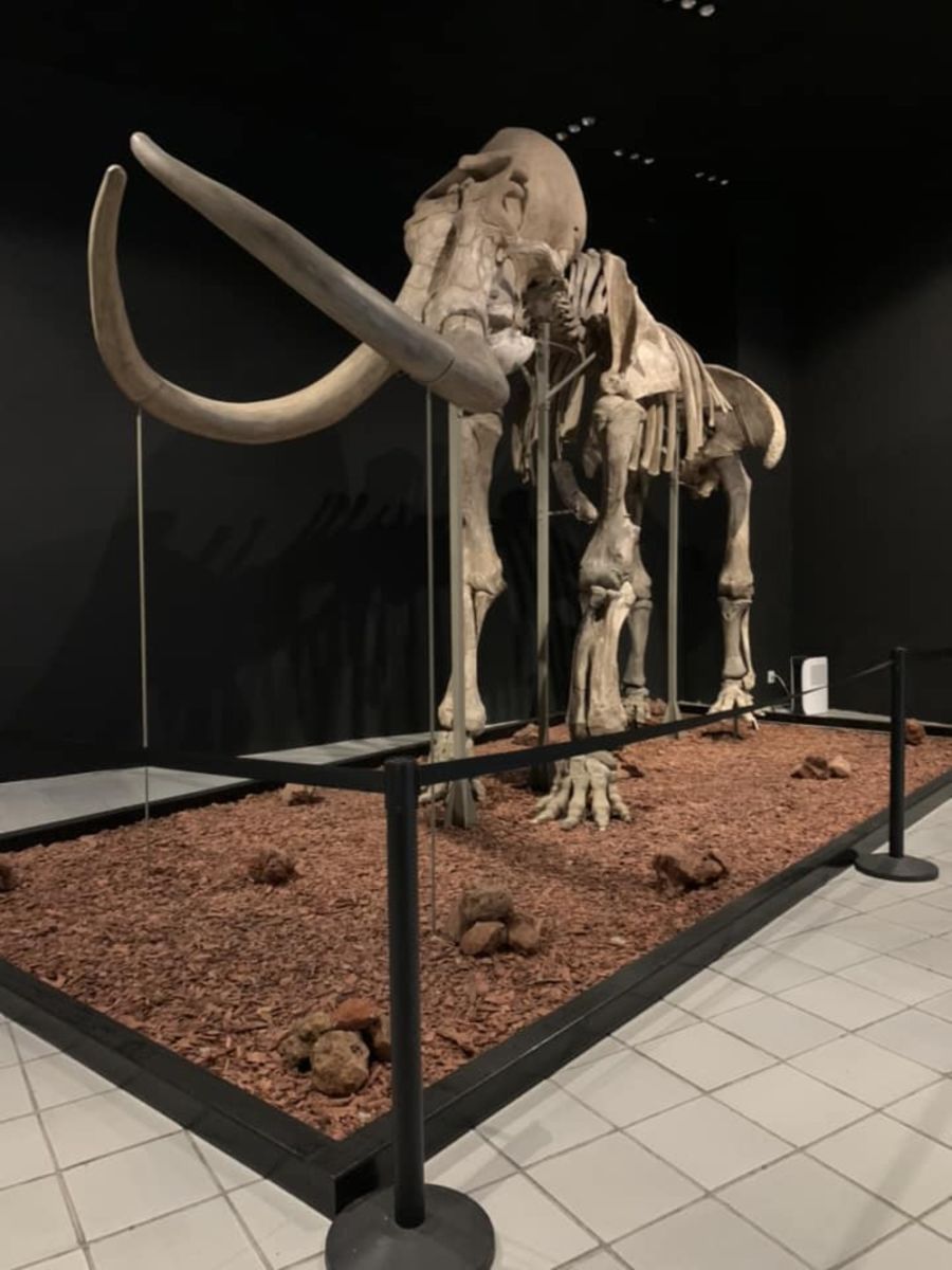 Museos en Toluca