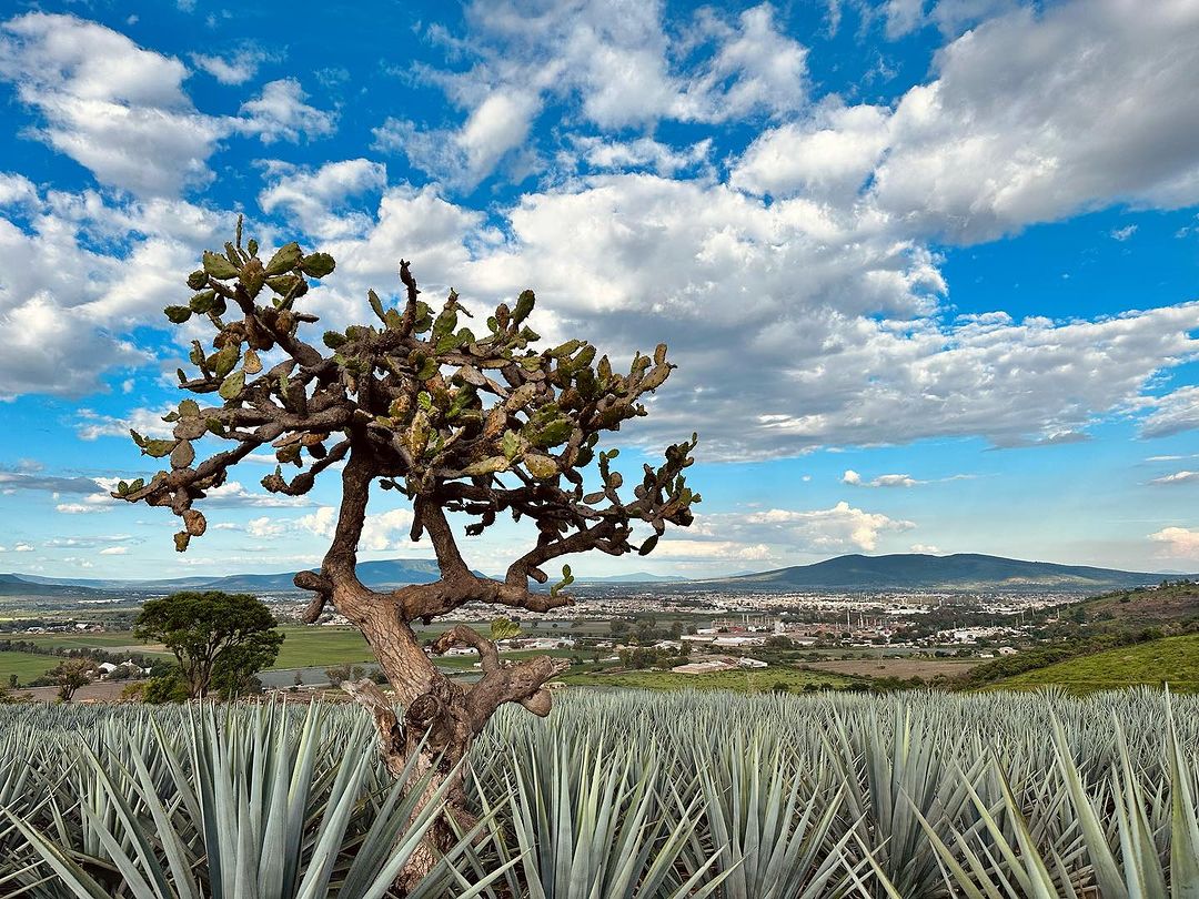 pueblos en jalisco
