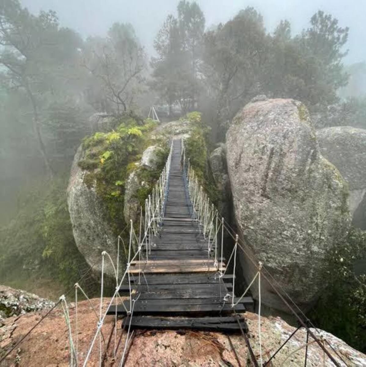 Puente Colgante Los Frailes 