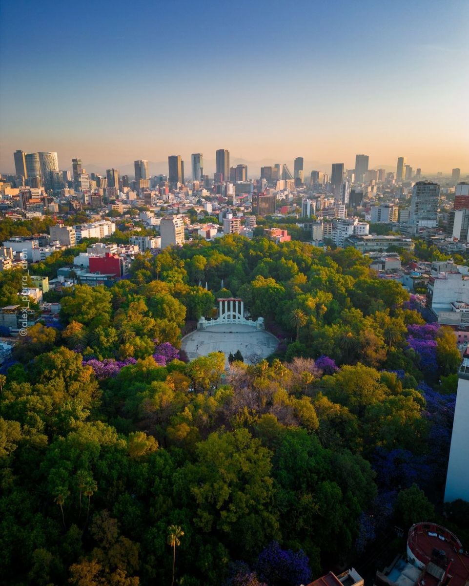 parques pet-friendly en la cdmx