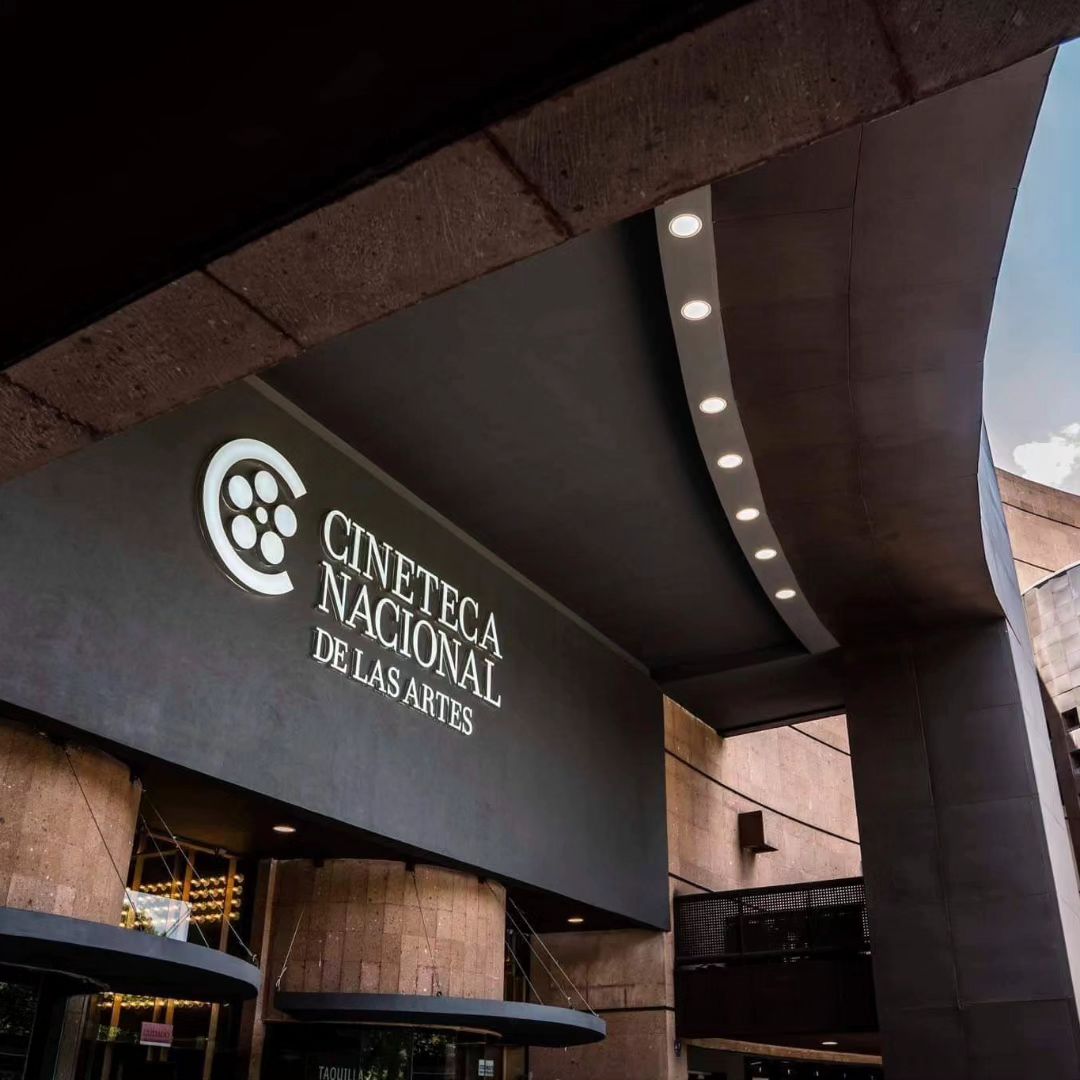 planes para introvertidos