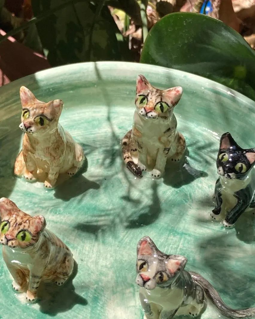 platos de cerámica con gatitos