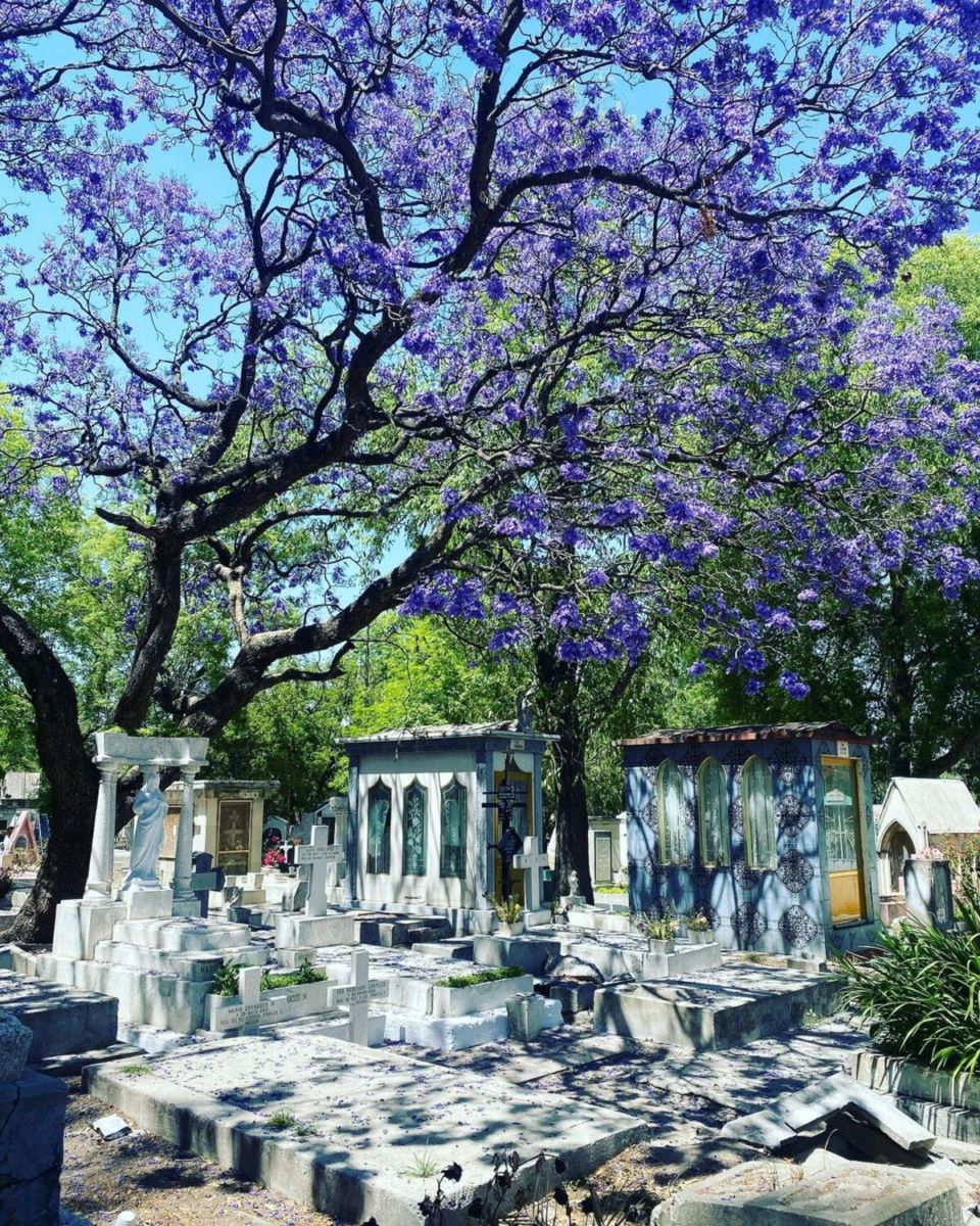 Qué hacer en Chapultepec