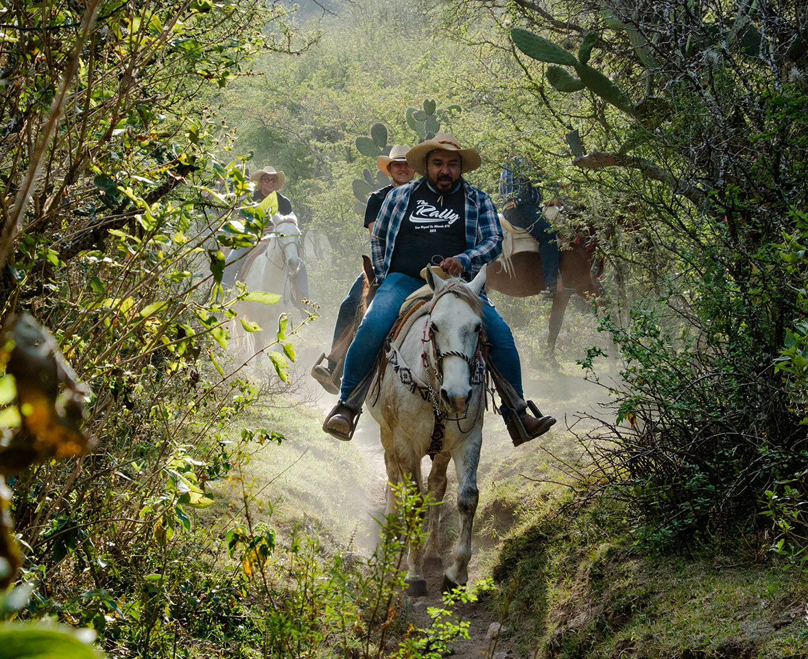 Qué hacer en San Miguel de Allende