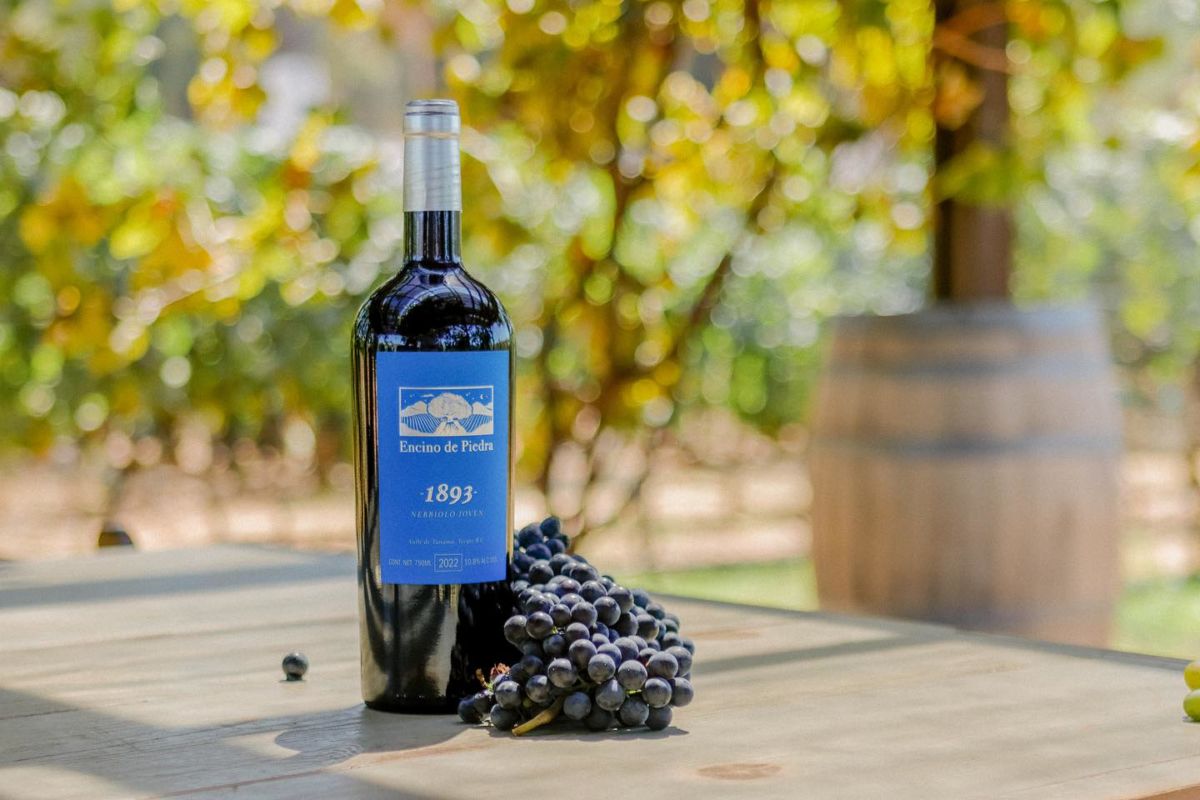 Hotel Boutique Rancho Tecate