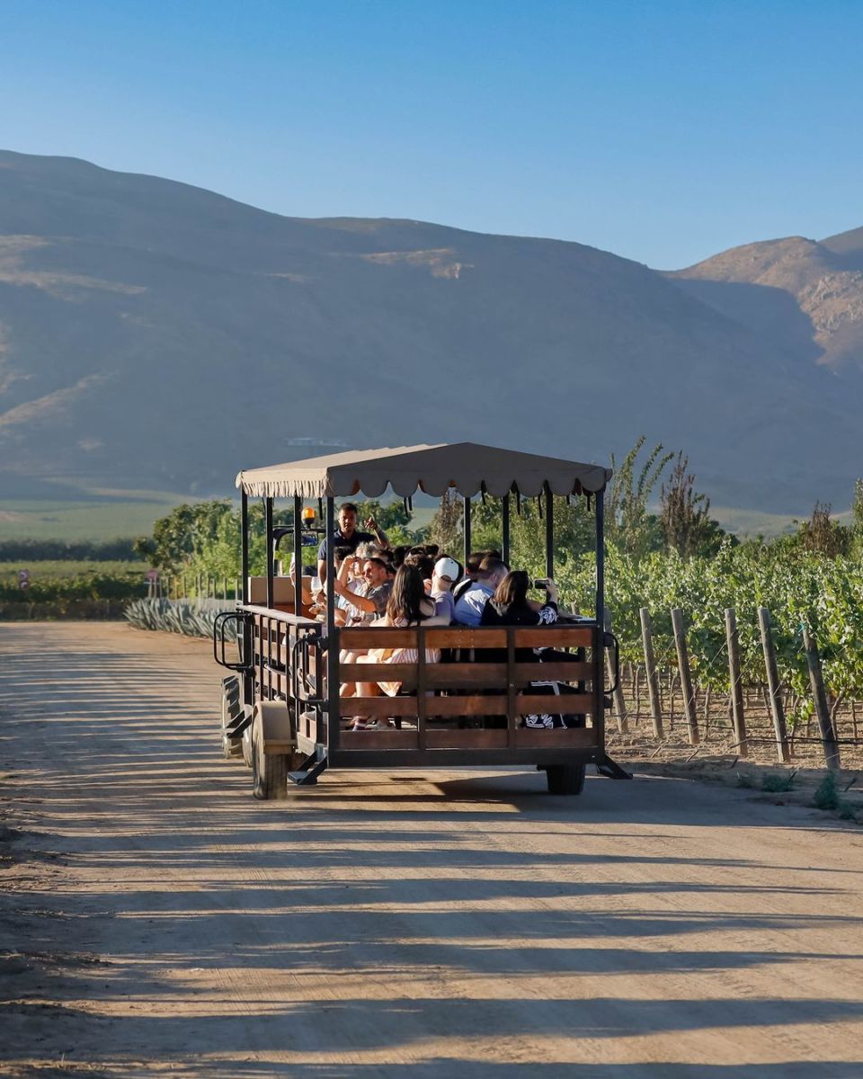 Resort de lujo Valle de Guadalupe 