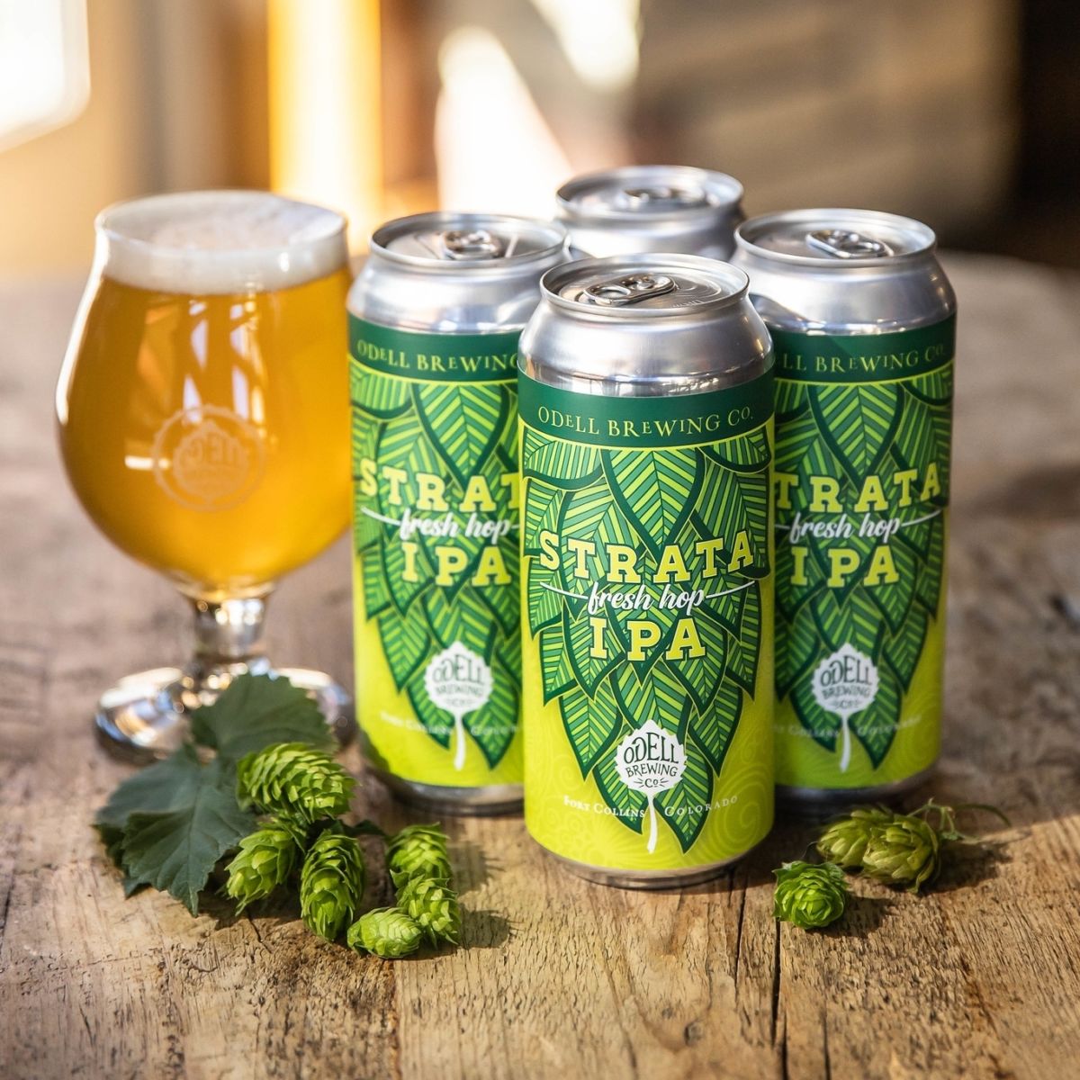 cerveza artesanal denver