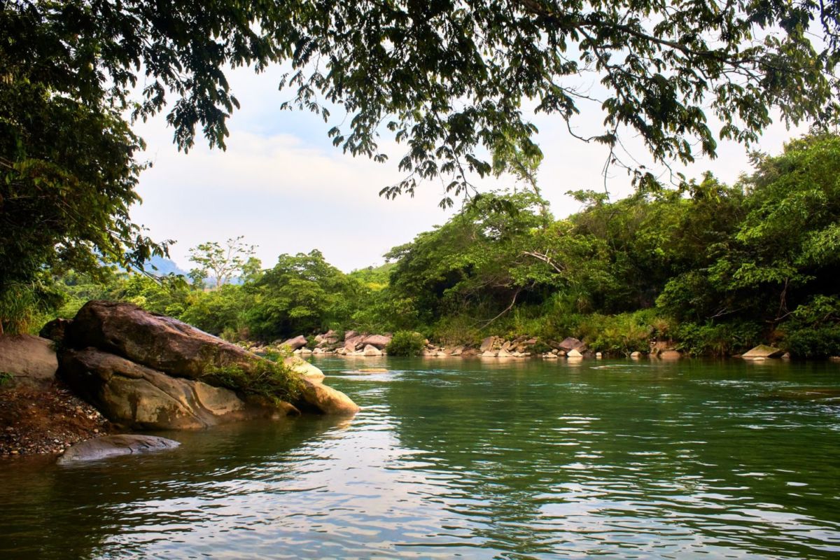 Los 4 ríos más refrescantes de Martínez de la Torre, el destino mexicano que no tenías en mente