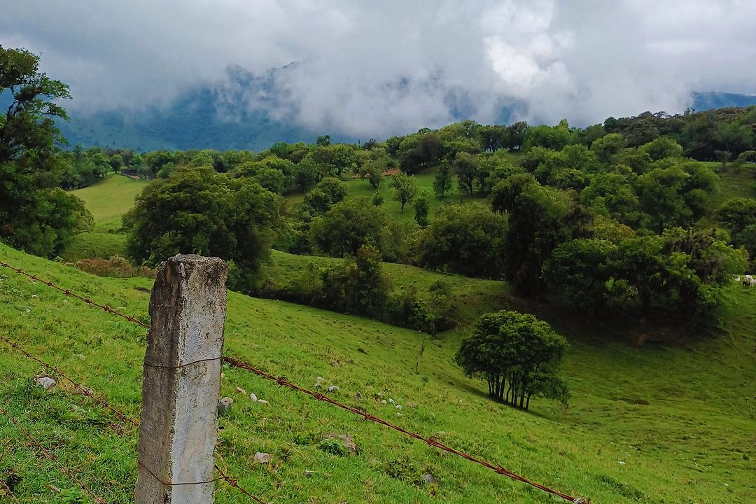 ruta del café puebla