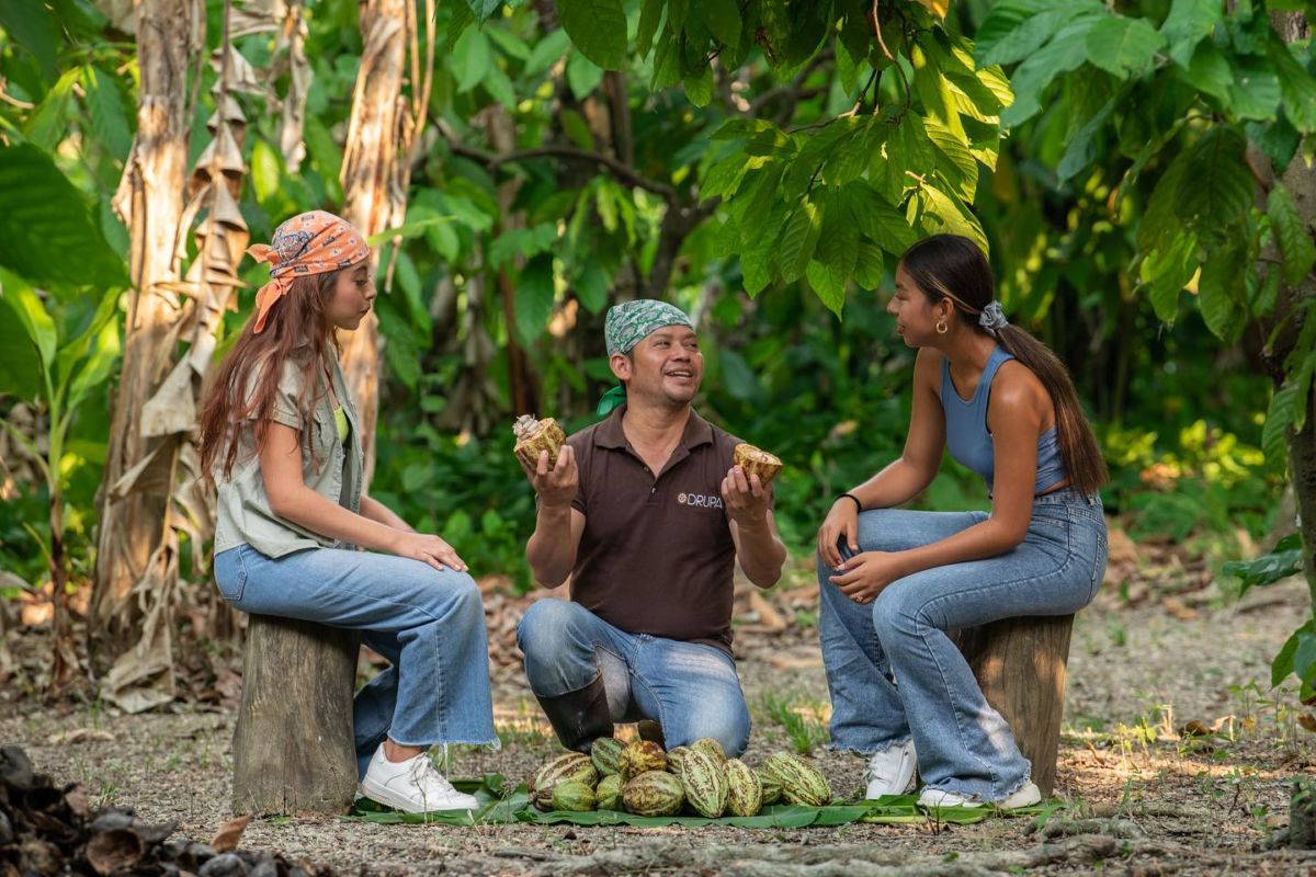 ruta del cacao