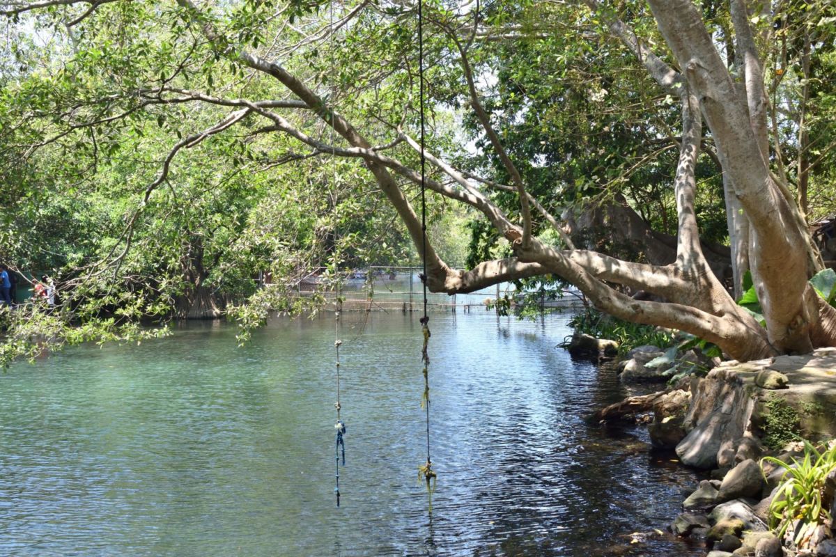 Parque Nacional La Tovara