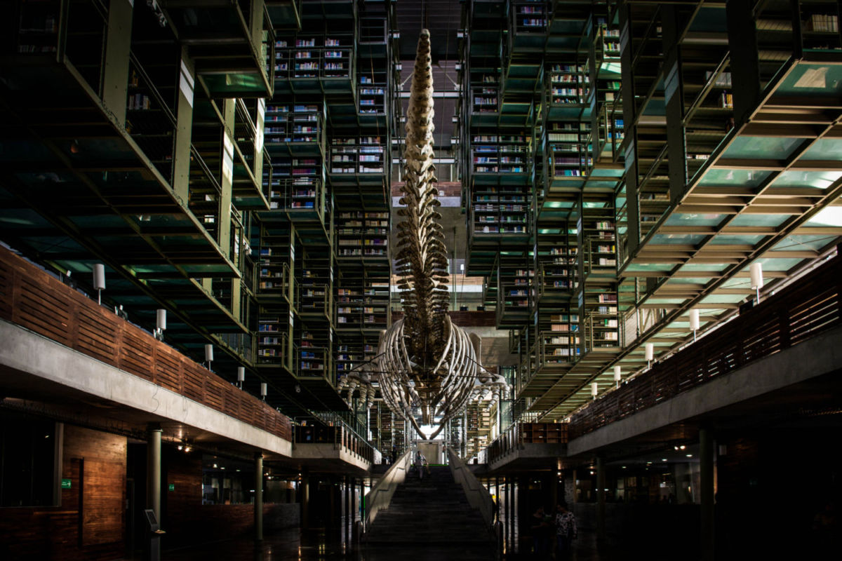 planes para introvertidos