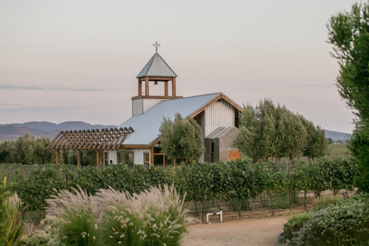 5 viñedos en Baja California Norte que debes conocer si amas beber vino 