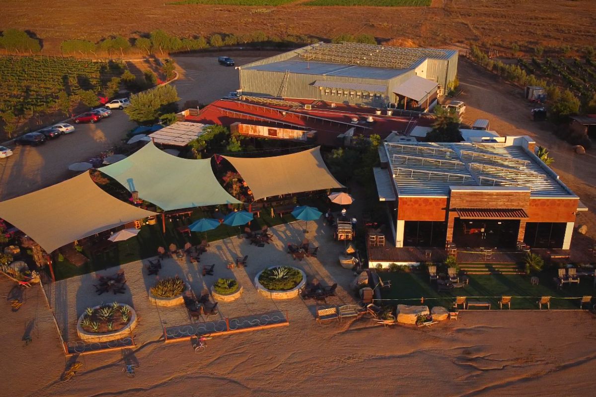 viñedos en baja california norte