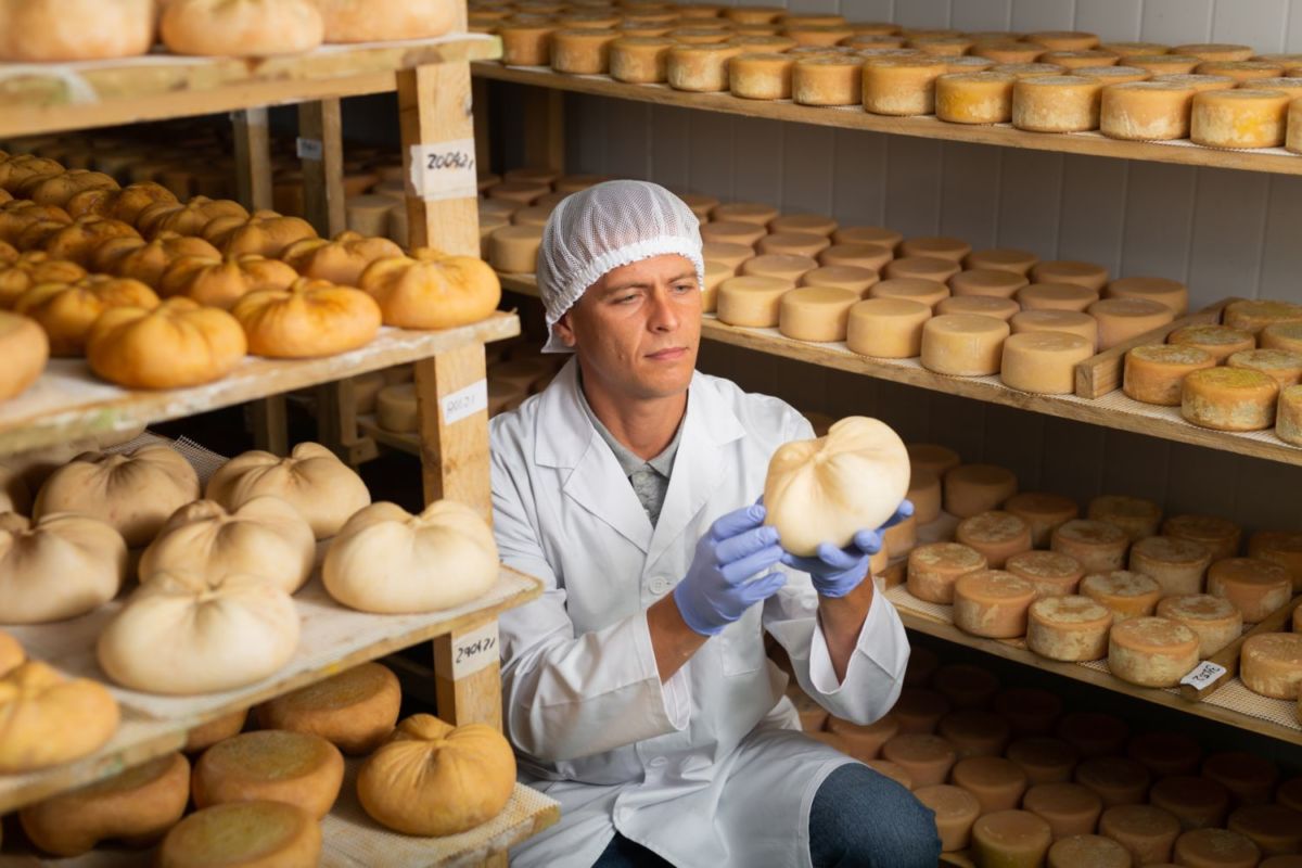 Ruta del queso en Aculco Pueblo Mágico 