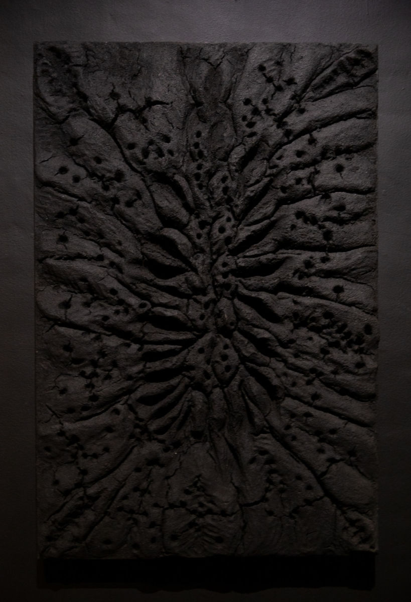 Exposición 'El negro de Beatriz Zamora'