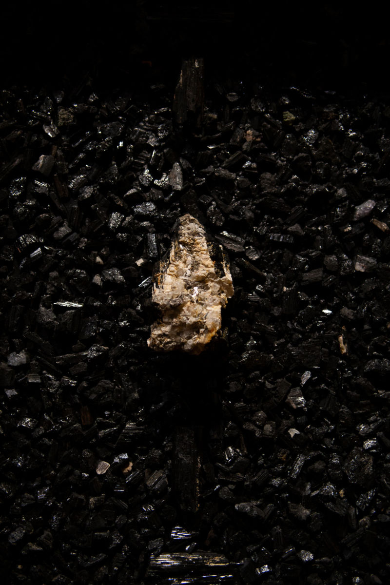 exhibición El negro de beatriz Zamora