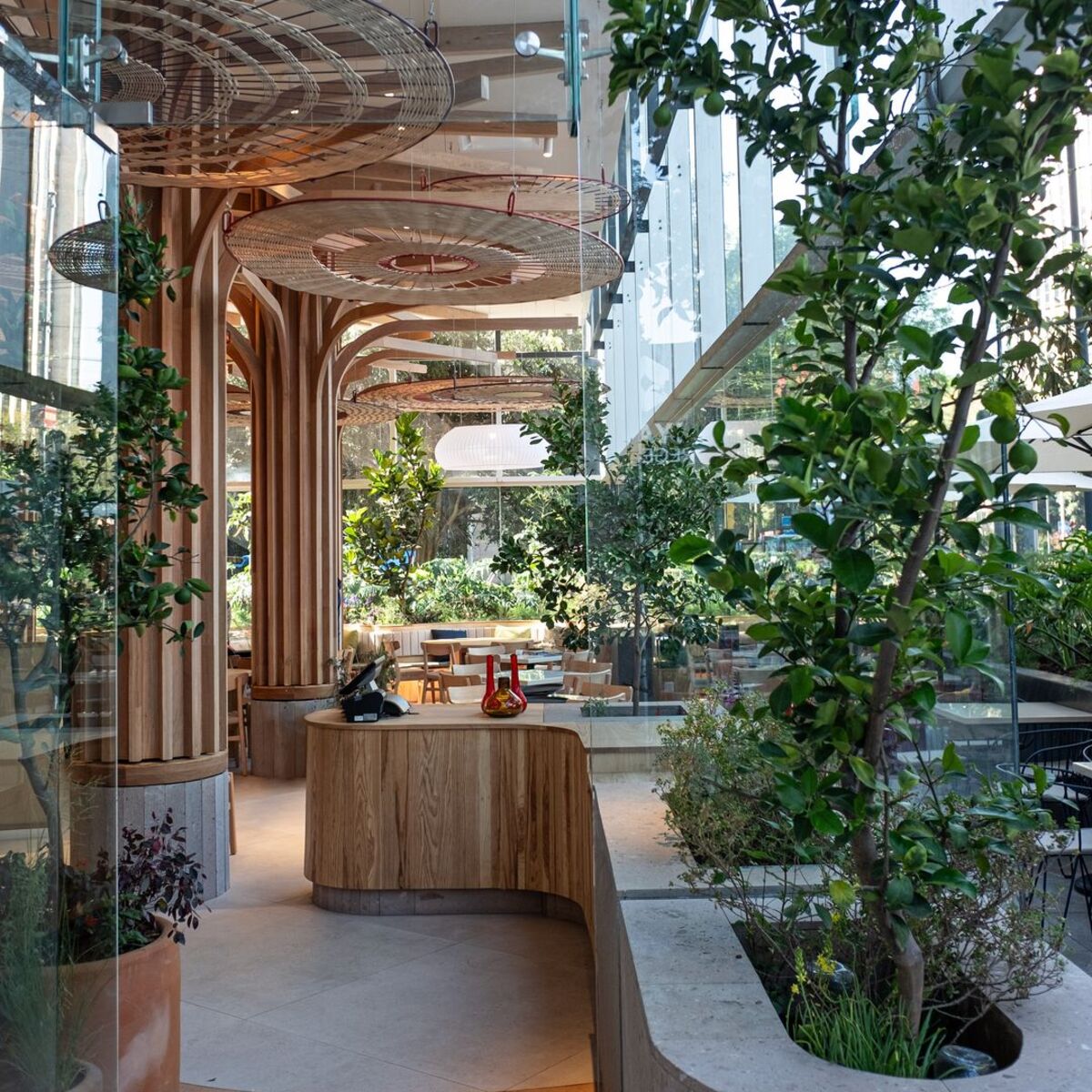 Uno de los restaurantes mexicanos más bonitos de la CDMX y sus 8 platillos que nos obsesionan