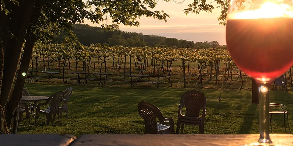 Illinois, vinos locales 