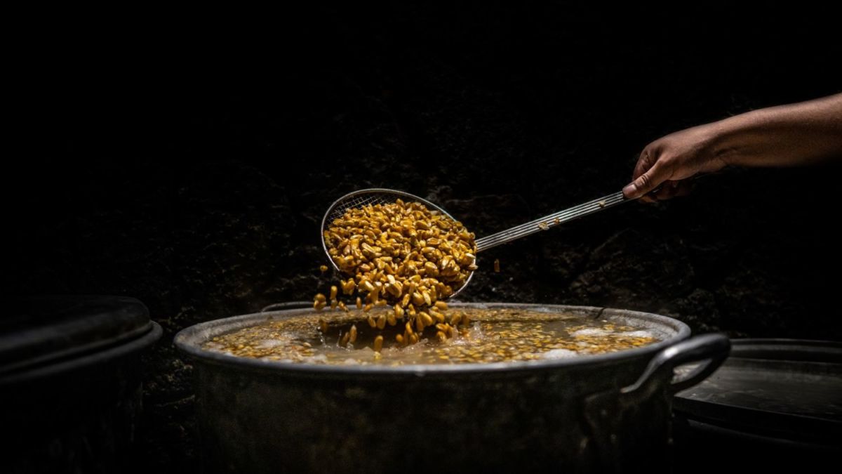 maíz criollo en la cdmx