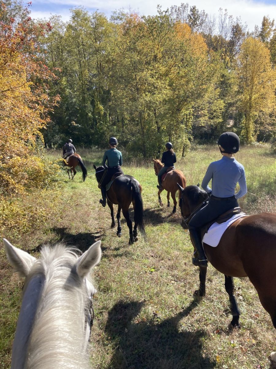 Experiencias cerca de la CDMX 