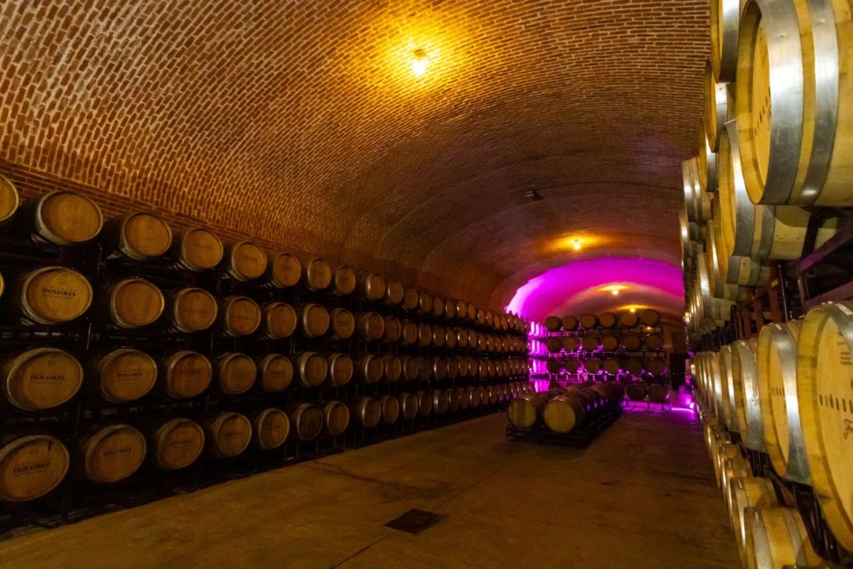 experiencias cerca de la CDMX