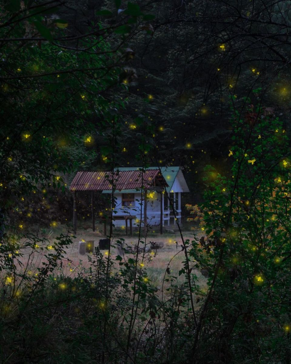 experiencias místicas cerca de cdmx