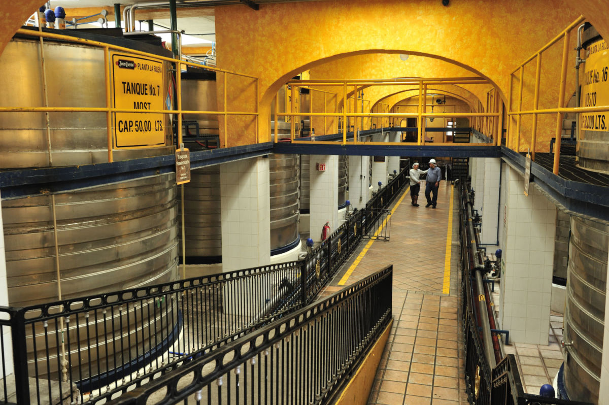 destileria josé cuervo tequila