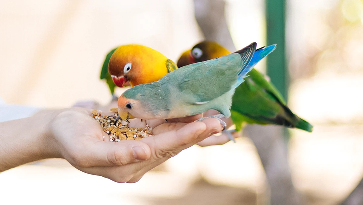 Gran Acuario Mazatlán