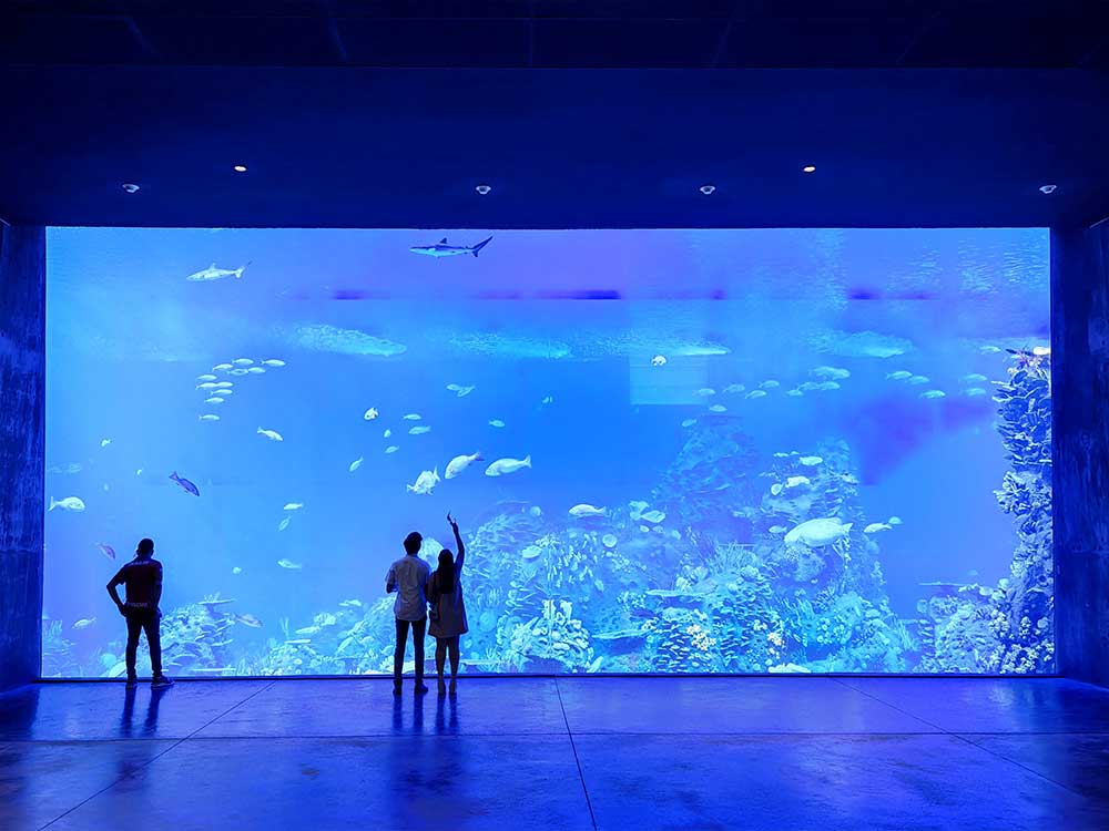 Gran Acuario Mazatlán